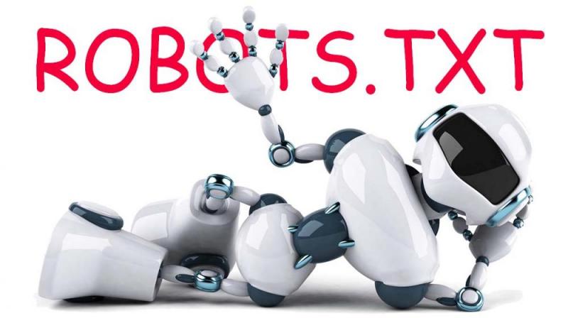 Что такое robots.txt и зачем он нужен в Ростове-на-Дону